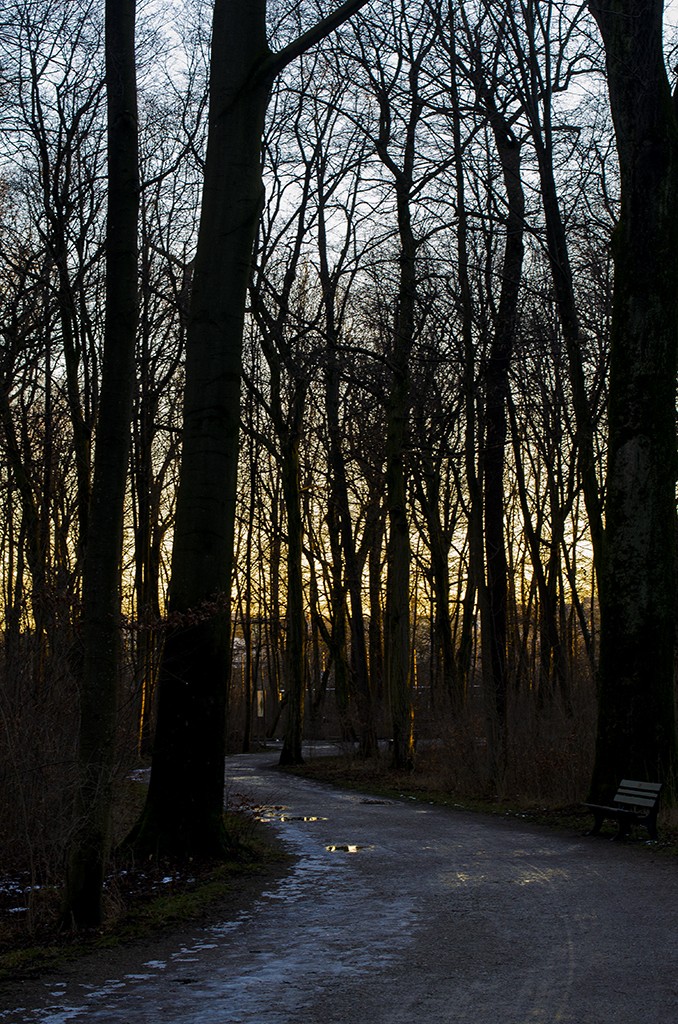 Nymphenburg Park