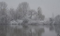 Main in Winter