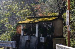 Roadside Shrine near Tsurugi // つるぎ町