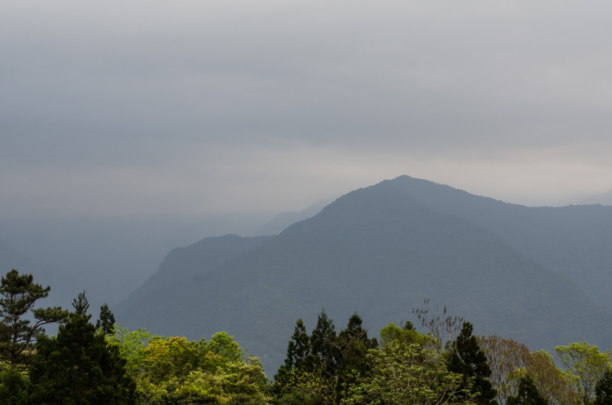 Nantou // 南投縣