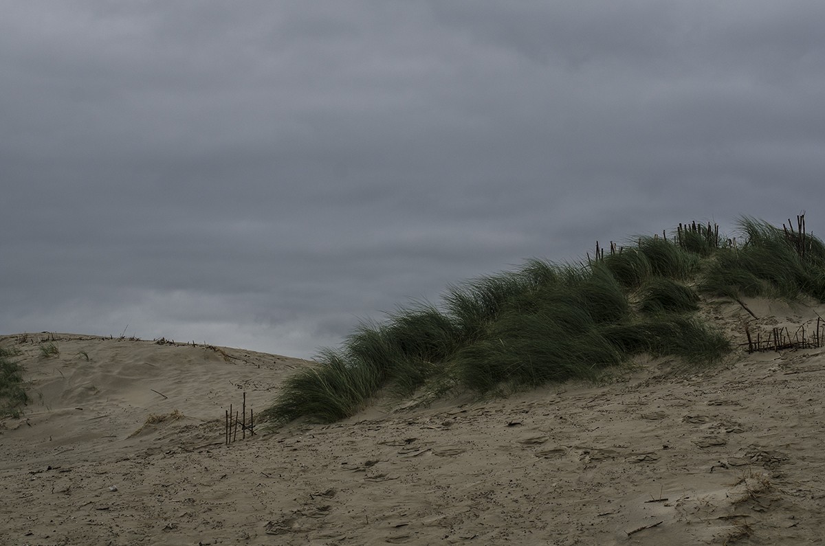 Nord See Strand 1