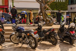 Busan Bikes