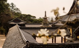Bulguksa Temple (Gyeongju)