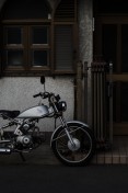 Cute Honda