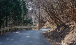 The road up Akagi