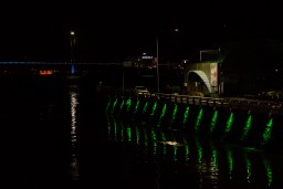 Yeosu Fish Market After Dark