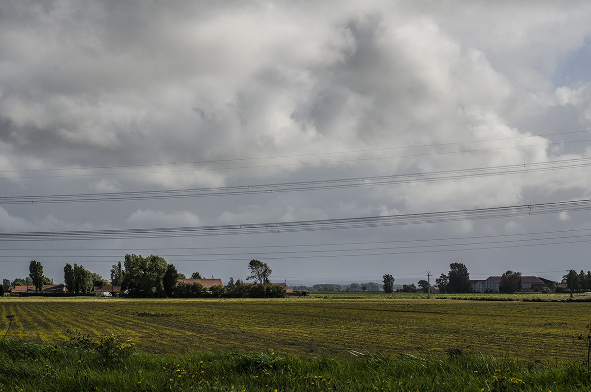 Near Calais 3