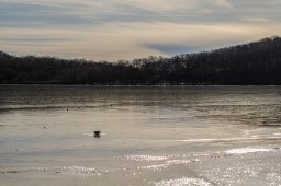 Lake Konuma