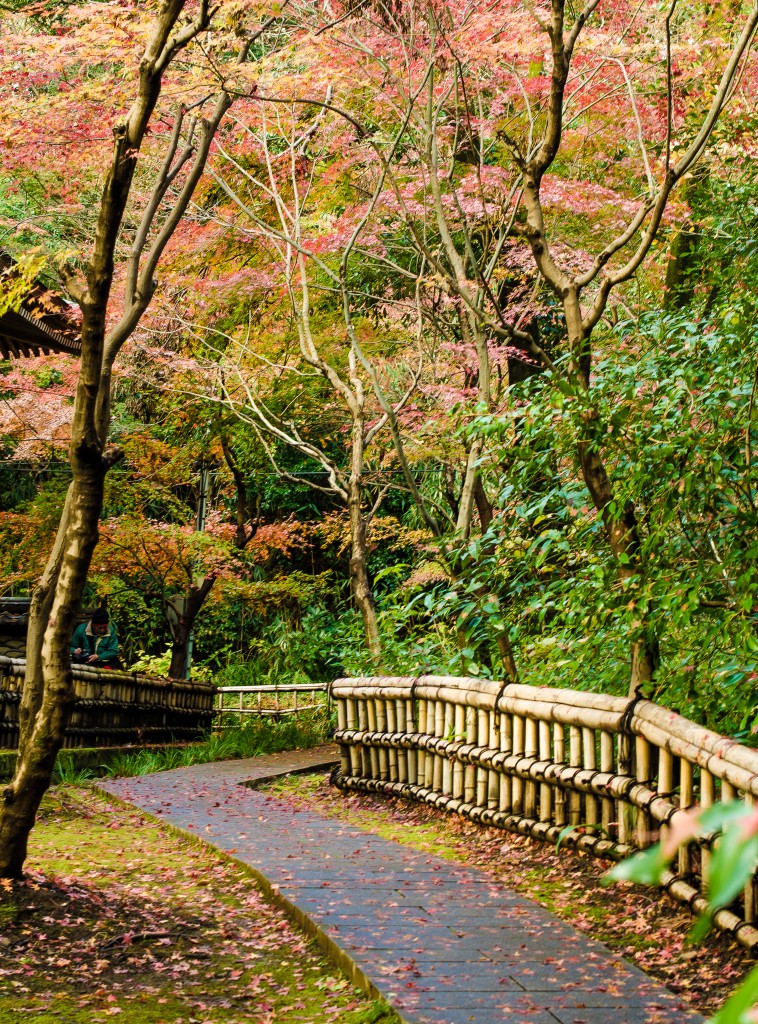 Near Jindaiji // 深大寺