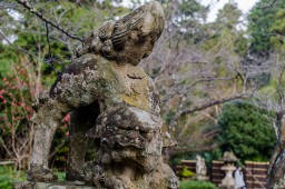Shiroyamainari Shrine Guardian // 城山稲荷神社