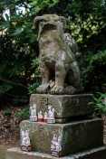 Shiroyamainari Shrine // 城山稲荷神社